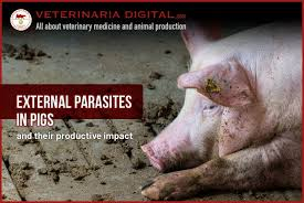 Parasitic diseases