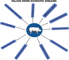 Zoonotic Diseases