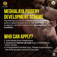 Government schemes