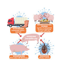 African Swine Fever (ASF) — Special Biosecurity Measures