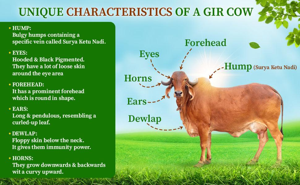 Reproduction and Artificial insemination